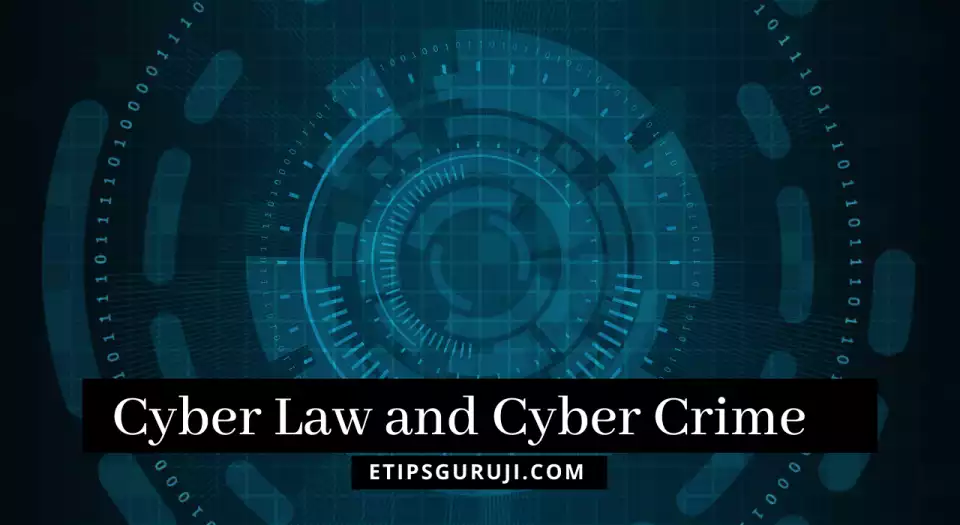 Cyber Law and Cybercrime 