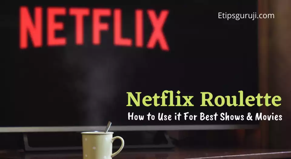 Netflix Roulette how to use full guide