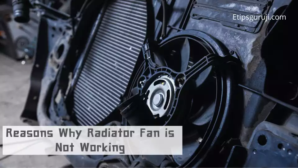 Reasons Why Radiator Fan is Not Working
