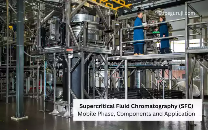 Supercritical Fluid Chromatography (SFC) Mobile Phase, Components and Application