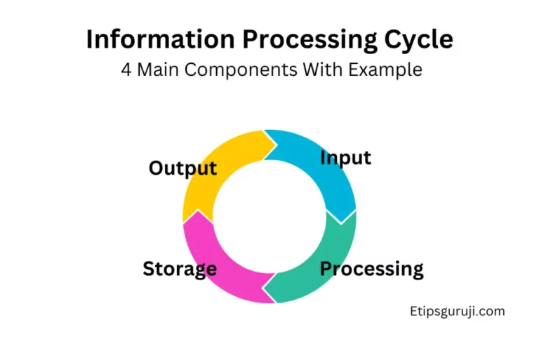 Information Processing Cycle: 4 Main Components With Example